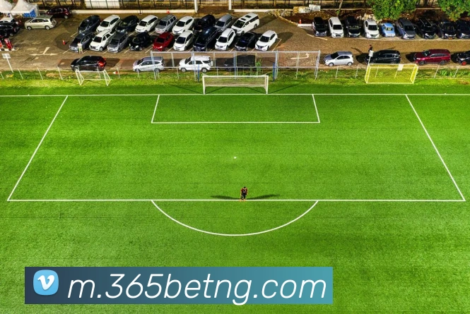 bet365com英国上市公司平台生态图